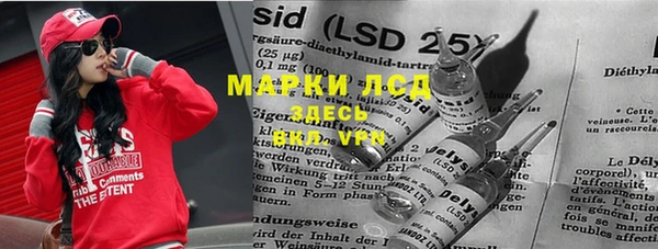 спиды Осинники