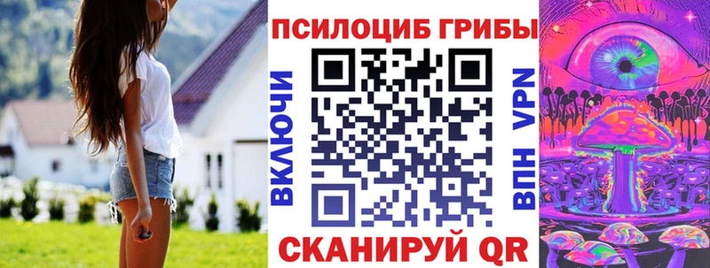 Псилоцибиновые грибы Psilocybine cubensis  Козельск 