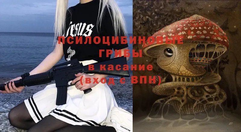 Галлюциногенные грибы Psilocybe  blacksprut как зайти  Козельск 